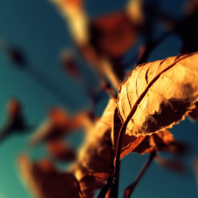1920 x 1080 HD Wallpapers 1771